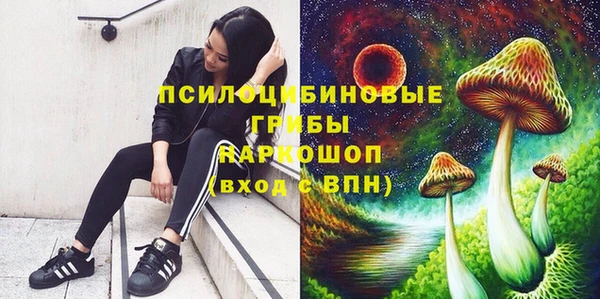 марки nbome Алексеевка
