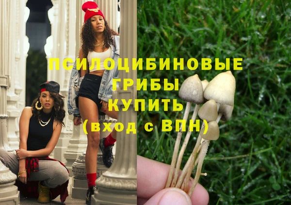 марки nbome Алексеевка