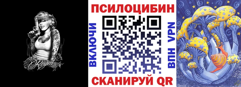 магазин    Сольвычегодск  Галлюциногенные грибы Psilocybe 
