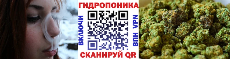 Марихуана OG Kush  даркнет сайт  Сольвычегодск 